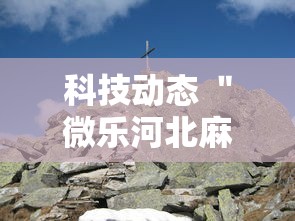 科技动态 ＂微乐河北麻将万能开挂器通用版最新辅助详细教程