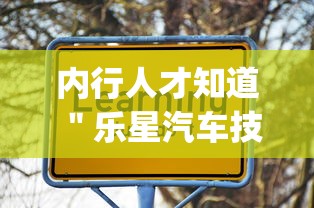 内行人才知道 ＂乐星汽车技术(无锡)有限公司”(透视)其实真的有挂