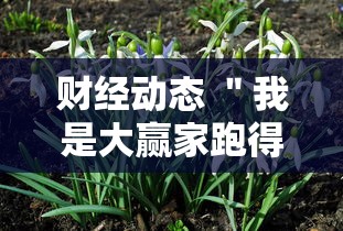 财经动态 ＂我是大赢家跑得快”分享必要外挂教程