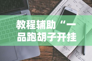 教程辅助“一品跑胡子开挂软件”附透视挂详细教程