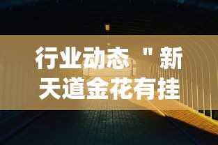 【最新科普】八闽状元郎可以开挂吗”附透视挂详细教程