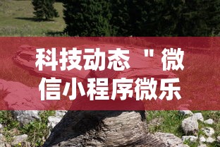 科技动态 ＂微信小程序微乐河南麻将外卦神”辅助神器插件下载