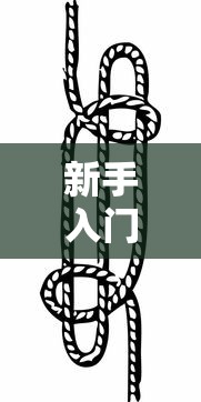 新手入门教程 ＂新人海有透视挂”详细分享装挂步骤教程