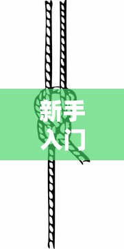 新手入门教程 ＂新人海有透视挂”详细分享装挂步骤教程