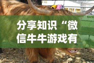 分享知识“微信牛牛游戏有挂吗	”(确实真的有挂)